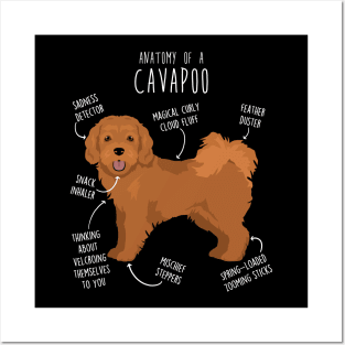 Cavapoo Dog Anatomy Posters and Art